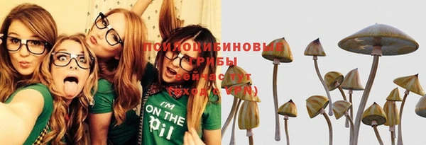 прущая мука Алзамай
