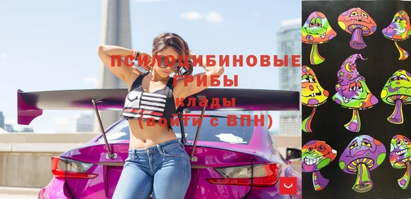 прущая мука Алзамай